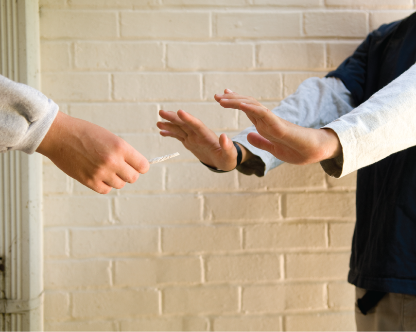 Understanding the Power of Peer Pressure