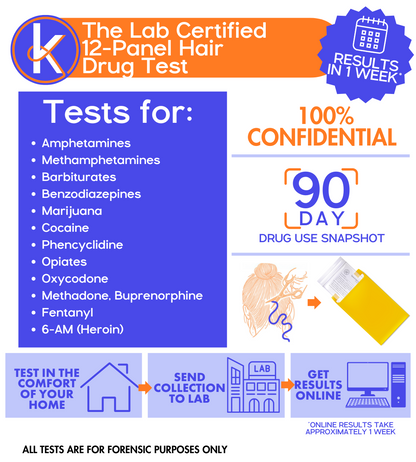 The Lab Certified 12-Panel Hair Drug Test